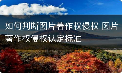 如何判断图片著作权侵权 图片著作权侵权认定标准