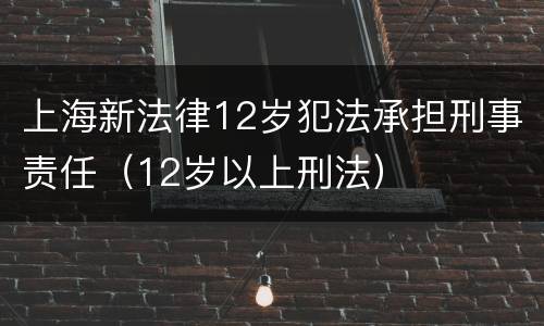 上海新法律12岁犯法承担刑事责任（12岁以上刑法）