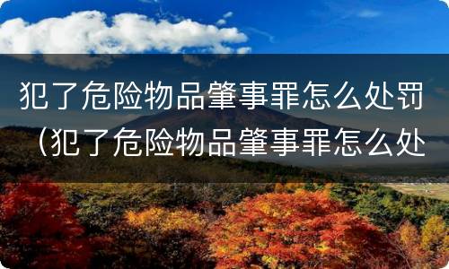 犯了危险物品肇事罪怎么处罚（犯了危险物品肇事罪怎么处罚的）