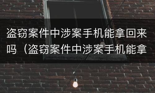 盗窃案件中涉案手机能拿回来吗（盗窃案件中涉案手机能拿回来吗知乎）