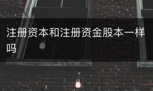 注册资本和注册资金股本一样吗