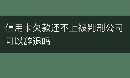信用卡欠款还不上被判刑公司可以辞退吗