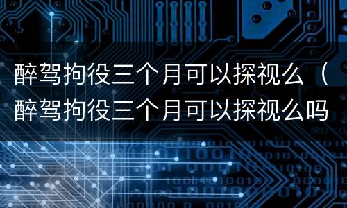 醉驾拘役三个月可以探视么（醉驾拘役三个月可以探视么吗）