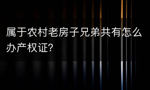属于农村老房子兄弟共有怎么办产权证？