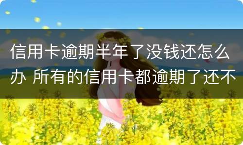 信用卡逾期半年了没钱还怎么办 所有的信用卡都逾期了还不上,怎么办