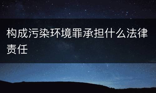 构成污染环境罪承担什么法律责任