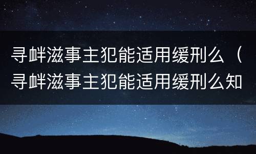 寻衅滋事主犯能适用缓刑么（寻衅滋事主犯能适用缓刑么知乎）