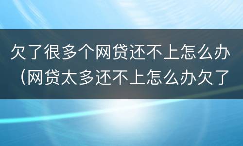 欠了很多个网贷还不上怎么办（网贷太多还不上怎么办欠了好几十个）