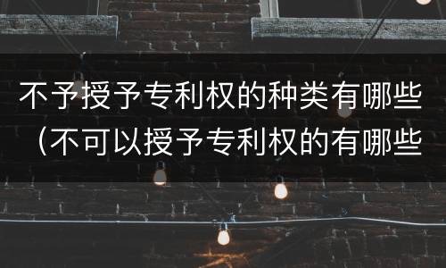 不予授予专利权的种类有哪些（不可以授予专利权的有哪些）
