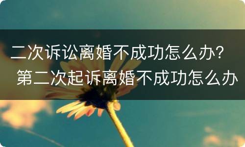 二次诉讼离婚不成功怎么办？ 第二次起诉离婚不成功怎么办