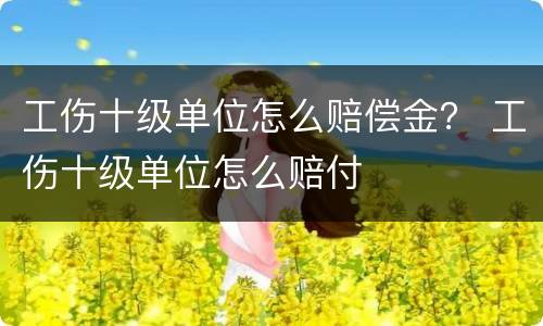 工伤十级单位怎么赔偿金？ 工伤十级单位怎么赔付