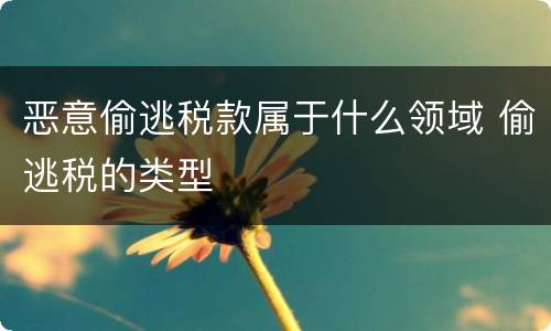 恶意偷逃税款属于什么领域 偷逃税的类型