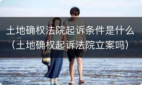 土地确权法院起诉条件是什么（土地确权起诉法院立案吗）