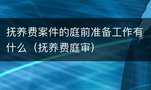 抚养费案件的庭前准备工作有什么（抚养费庭审）