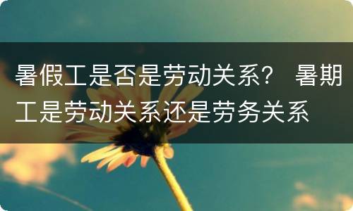 暑假工是否是劳动关系？ 暑期工是劳动关系还是劳务关系
