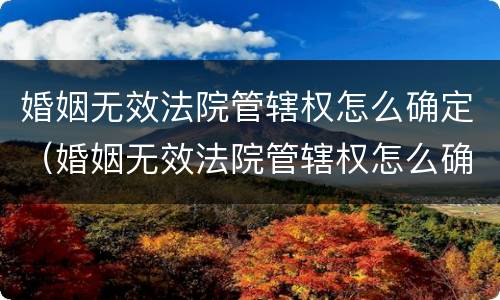 婚姻无效法院管辖权怎么确定（婚姻无效法院管辖权怎么确定的）