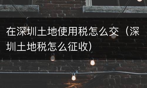 在深圳土地使用税怎么交（深圳土地税怎么征收）