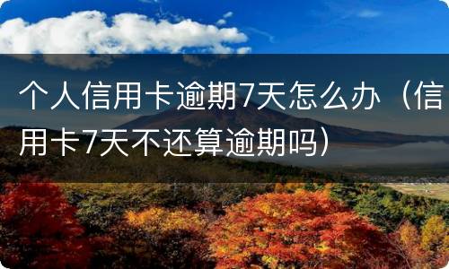 个人信用卡逾期7天怎么办（信用卡7天不还算逾期吗）