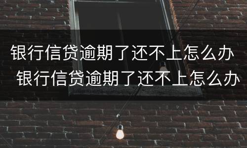 银行信贷逾期了还不上怎么办 银行信贷逾期了还不上怎么办呢