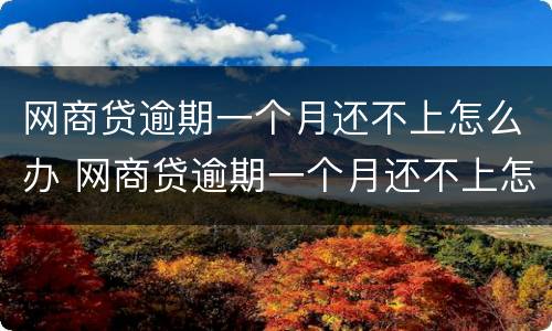 网商贷逾期一个月还不上怎么办 网商贷逾期一个月还不上怎么办呢