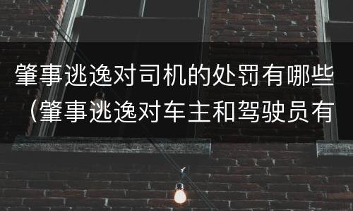 肇事逃逸对司机的处罚有哪些（肇事逃逸对车主和驾驶员有什么惩罚）