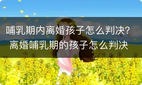 哺乳期内离婚孩子怎么判决？ 离婚哺乳期的孩子怎么判决