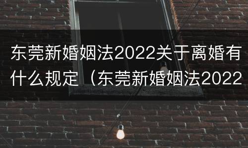 东莞新婚姻法2022关于离婚有什么规定（东莞新婚姻法2022关于离婚有什么规定吗）