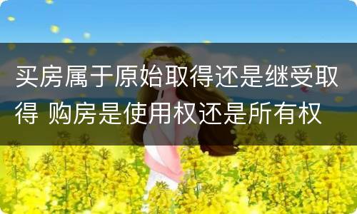 买房属于原始取得还是继受取得 购房是使用权还是所有权