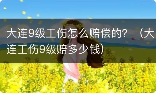 大连9级工伤怎么赔偿的？（大连工伤9级赔多少钱）
