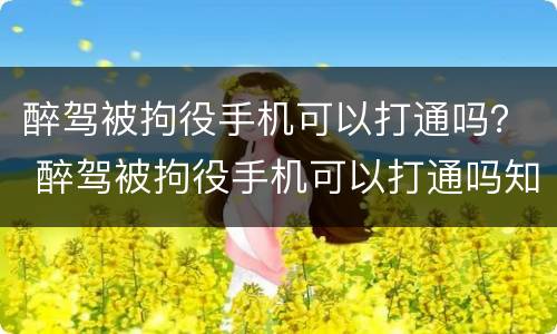 醉驾被拘役手机可以打通吗？ 醉驾被拘役手机可以打通吗知乎