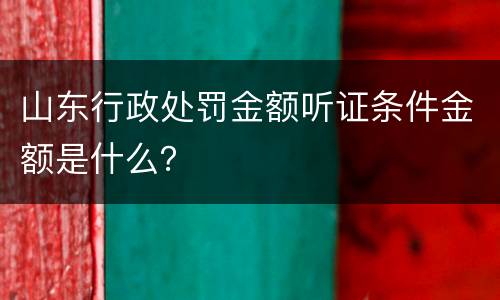 山东行政处罚金额听证条件金额是什么？
