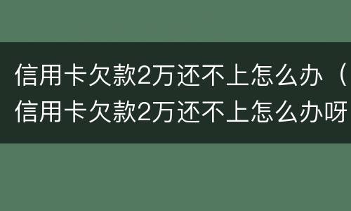信用卡欠款2万还不上怎么办（信用卡欠款2万还不上怎么办呀）