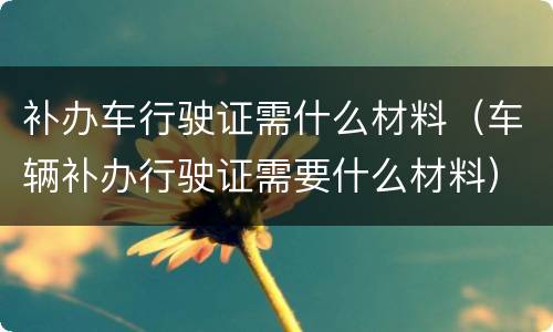补办车行驶证需什么材料（车辆补办行驶证需要什么材料）