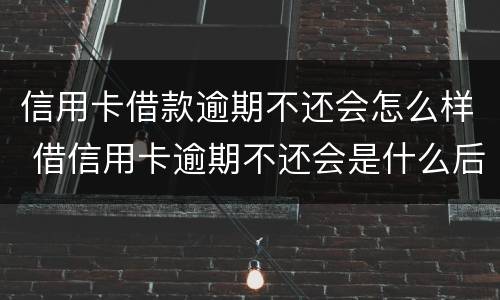信用卡借款逾期不还会怎么样 借信用卡逾期不还会是什么后果