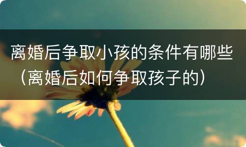 离婚后争取小孩的条件有哪些（离婚后如何争取孩子的）