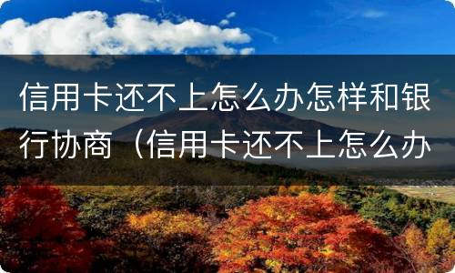 信用卡还不上怎么办怎样和银行协商（信用卡还不上怎么办怎样和银行协商解决）