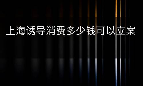 上海诱导消费多少钱可以立案