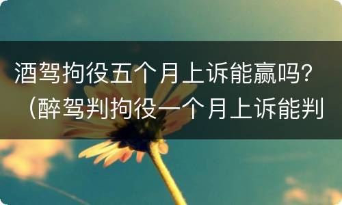 酒驾拘役五个月上诉能赢吗？（醉驾判拘役一个月上诉能判缓刑吗）