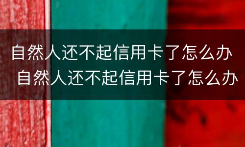 自然人还不起信用卡了怎么办 自然人还不起信用卡了怎么办理