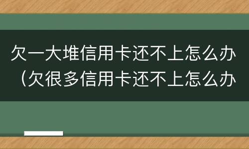 欠一大堆信用卡还不上怎么办（欠很多信用卡还不上怎么办）