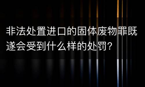 非法处置进口的固体废物罪既遂会受到什么样的处罚？