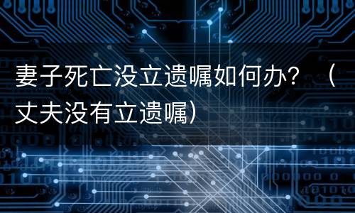 妻子死亡没立遗嘱如何办？（丈夫没有立遗嘱）