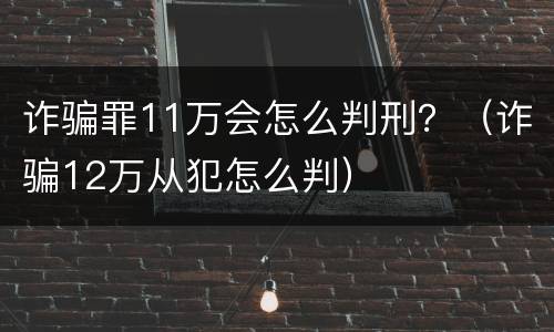诈骗罪11万会怎么判刑？（诈骗12万从犯怎么判）