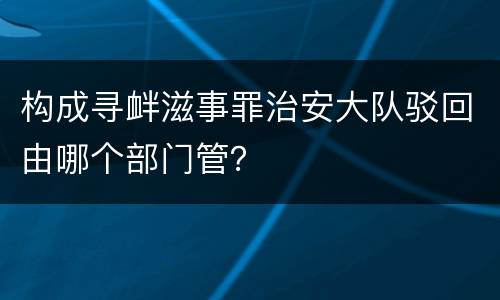 构成寻衅滋事罪治安大队驳回由哪个部门管？