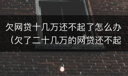 欠网贷十几万还不起了怎么办（欠了二十几万的网贷还不起了怎么办）