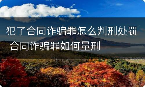 犯了合同诈骗罪怎么判刑处罚 合同诈骗罪如何量刑