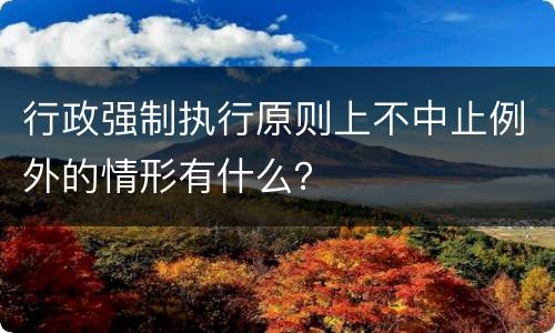 行政强制执行原则上不中止例外的情形有什么？