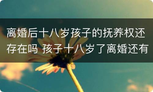 离婚后十八岁孩子的抚养权还存在吗 孩子十八岁了离婚还有抚养权问题吗