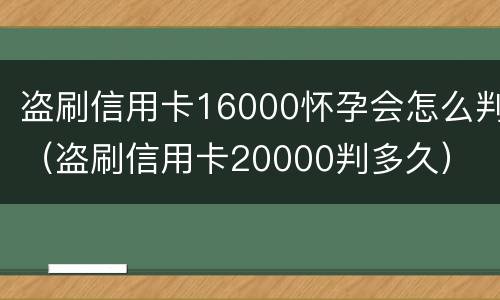 盗刷信用卡16000怀孕会怎么判（盗刷信用卡20000判多久）