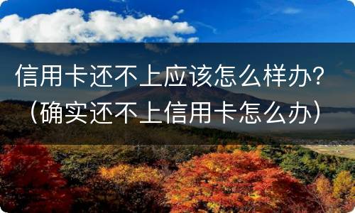 信用卡还不上应该怎么样办？（确实还不上信用卡怎么办）